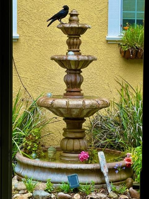 Glen Ellen Inn Secret Cottages Exterior foto